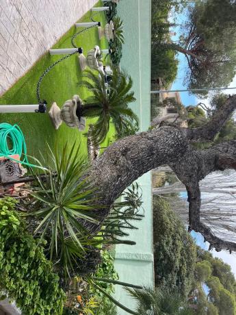 Casa independiente en campoamor s/n campoamor thumbnail 1