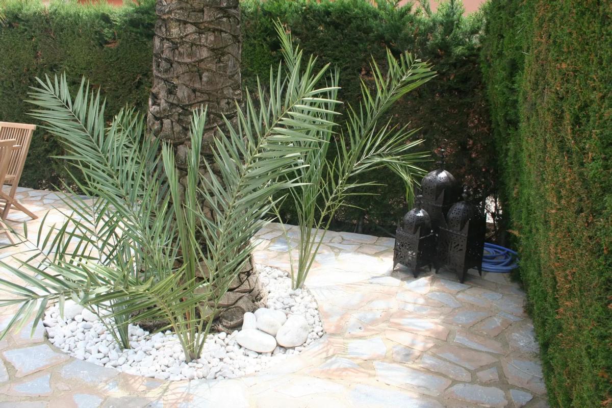 Properties for sale and rent in Spain photo 5