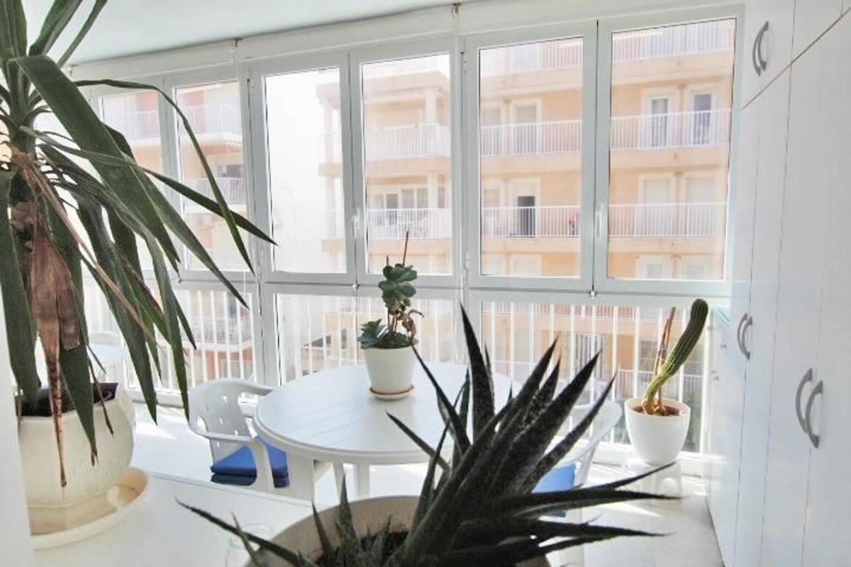Sale of apartment in Calle Blasco Ibáñez, 69, Guardamar del Segura
 photo 4