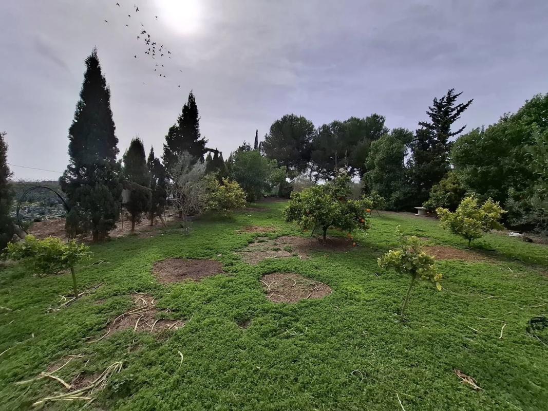 Venta de finca rústica en Partida Saavedra , Guardamar del Segura photo 1