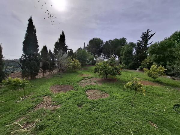 Finca rústica en venta en  Partida Saavedra , Guardamar del Segura photo 1