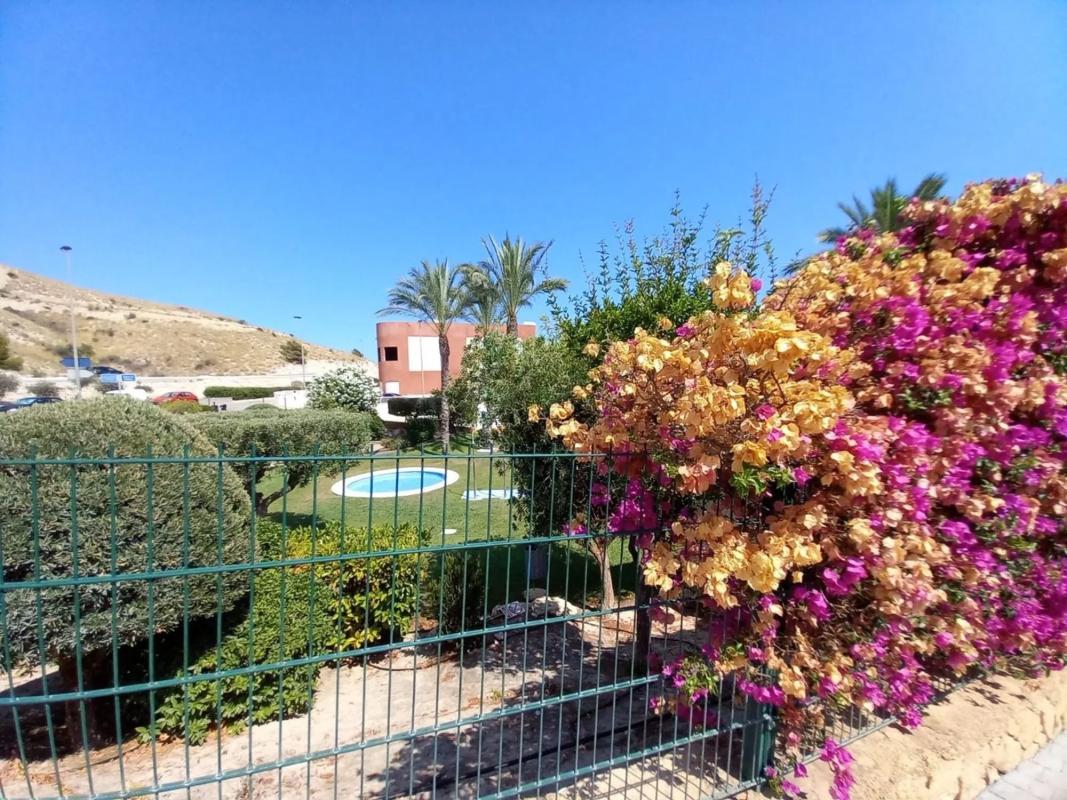 Properties for sale and rent in Spain photo 2