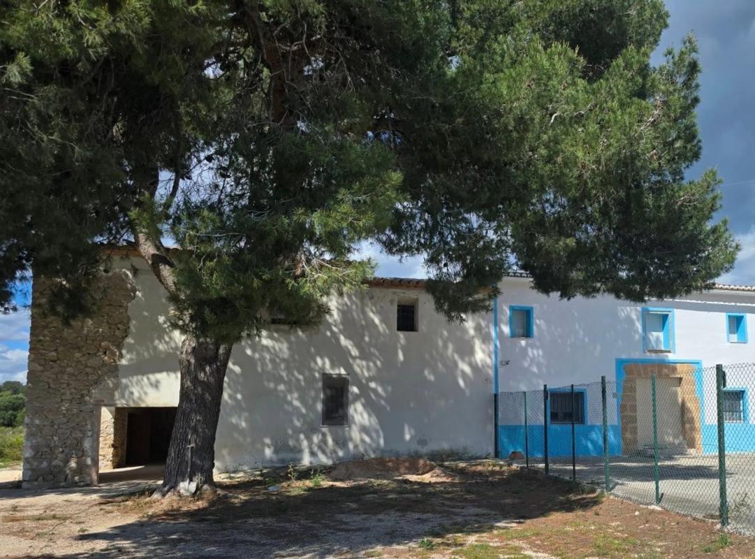 Sale of rural property in N-332 , Mutxamel photo 2