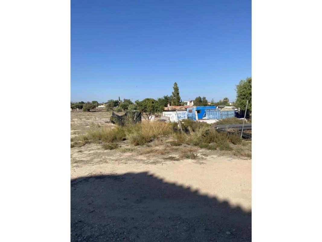 Sale of rural property in Partida la Obrera , Mutxamel photo 3