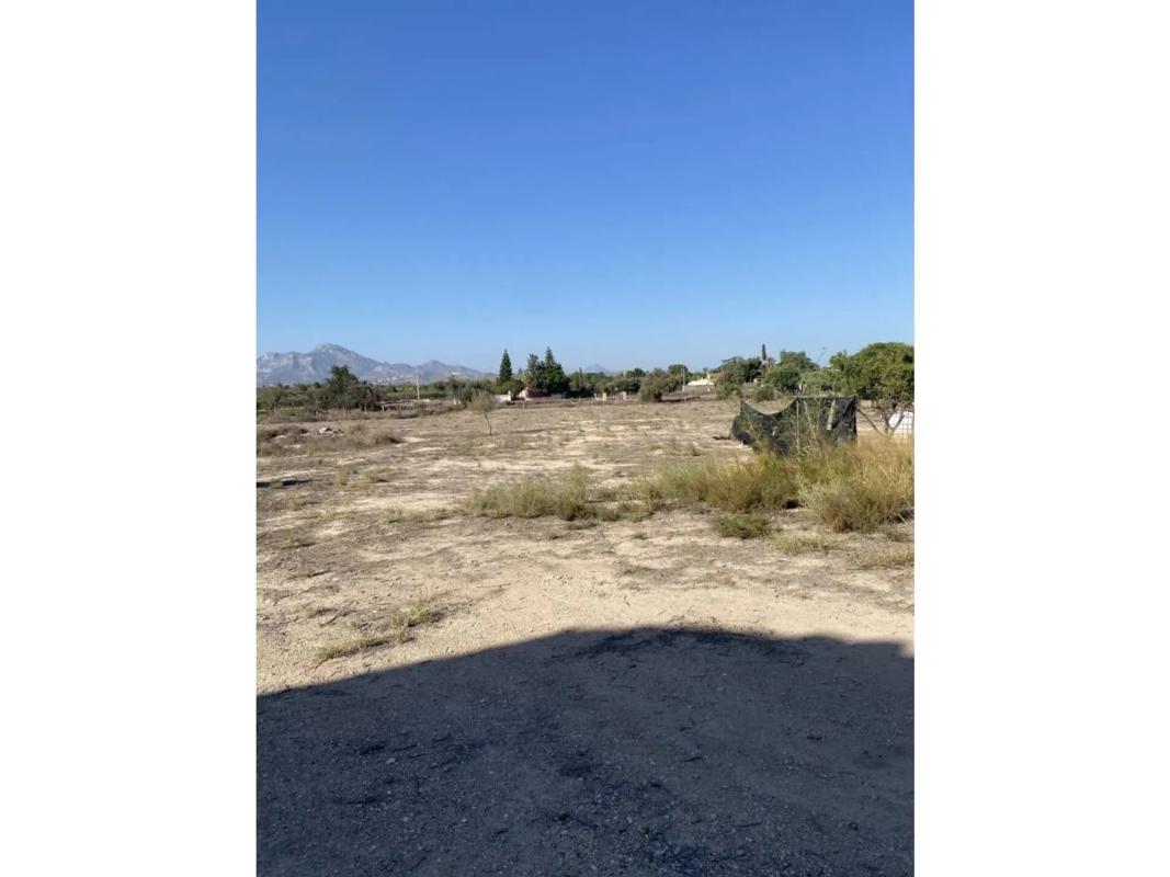 Sale of rural property in Partida la Obrera , Mutxamel photo 4