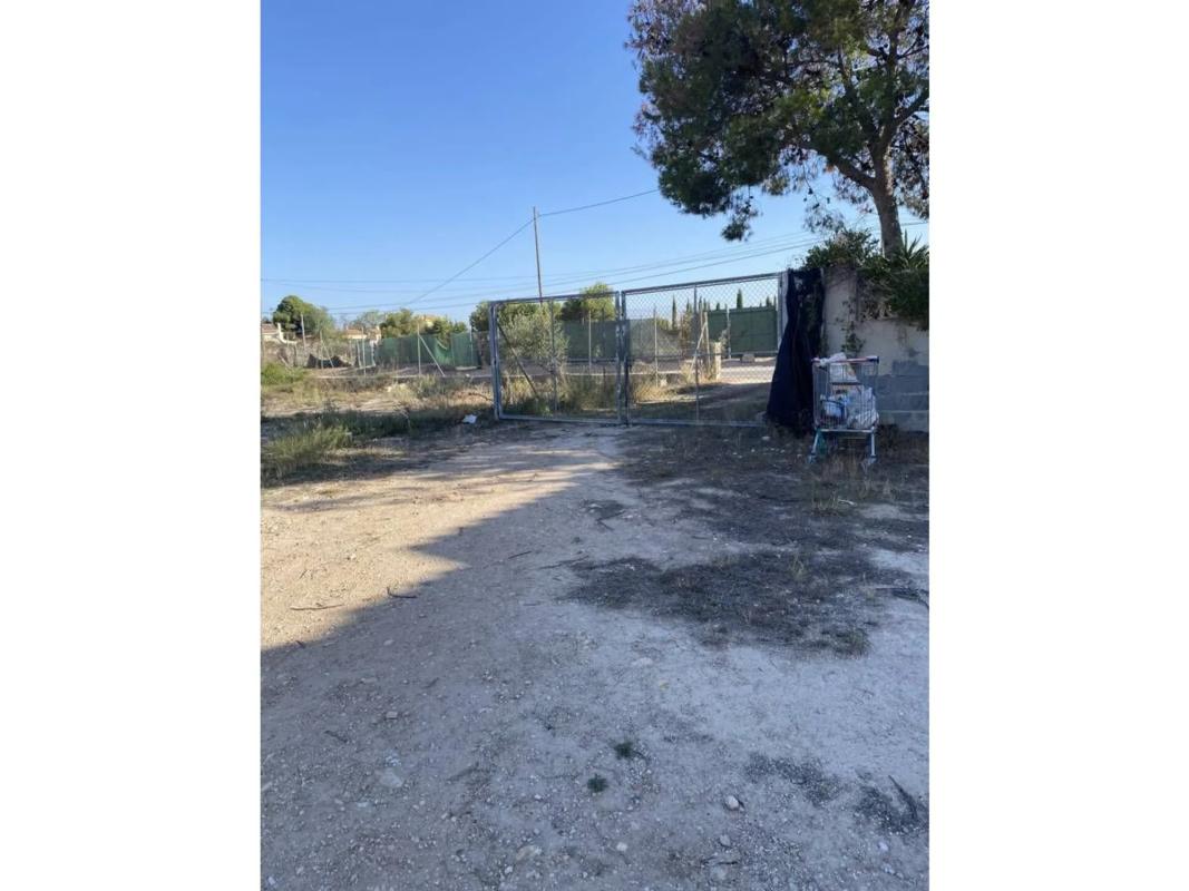 Sale of rural property in Partida la Obrera , Mutxamel photo 5