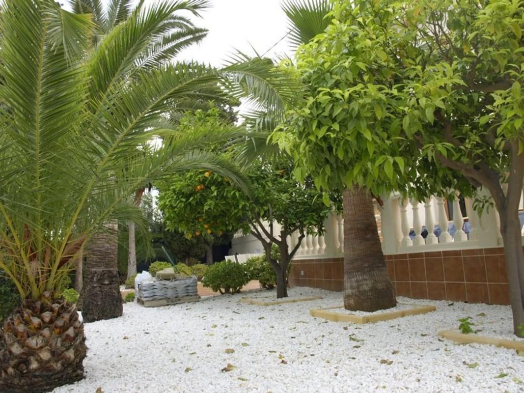 Properties for sale and rent in Spain photo 5