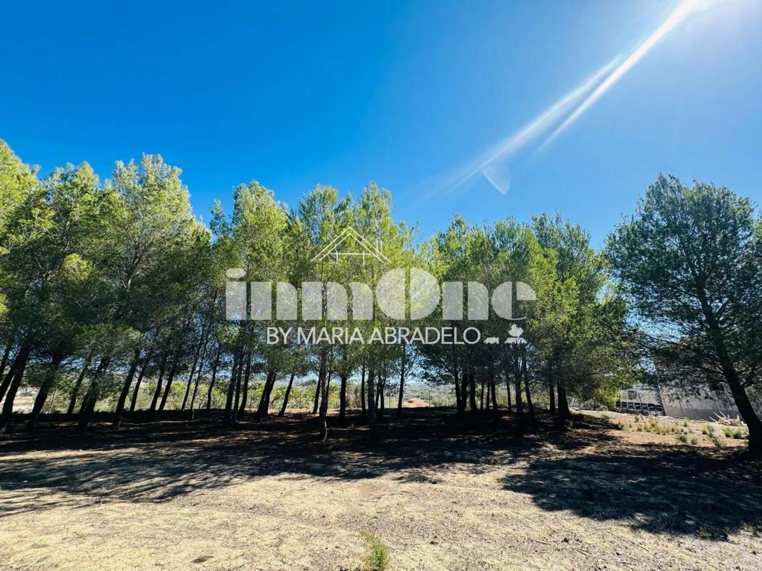 Продажа загородного участка в  Dolores , Долорес photo 3