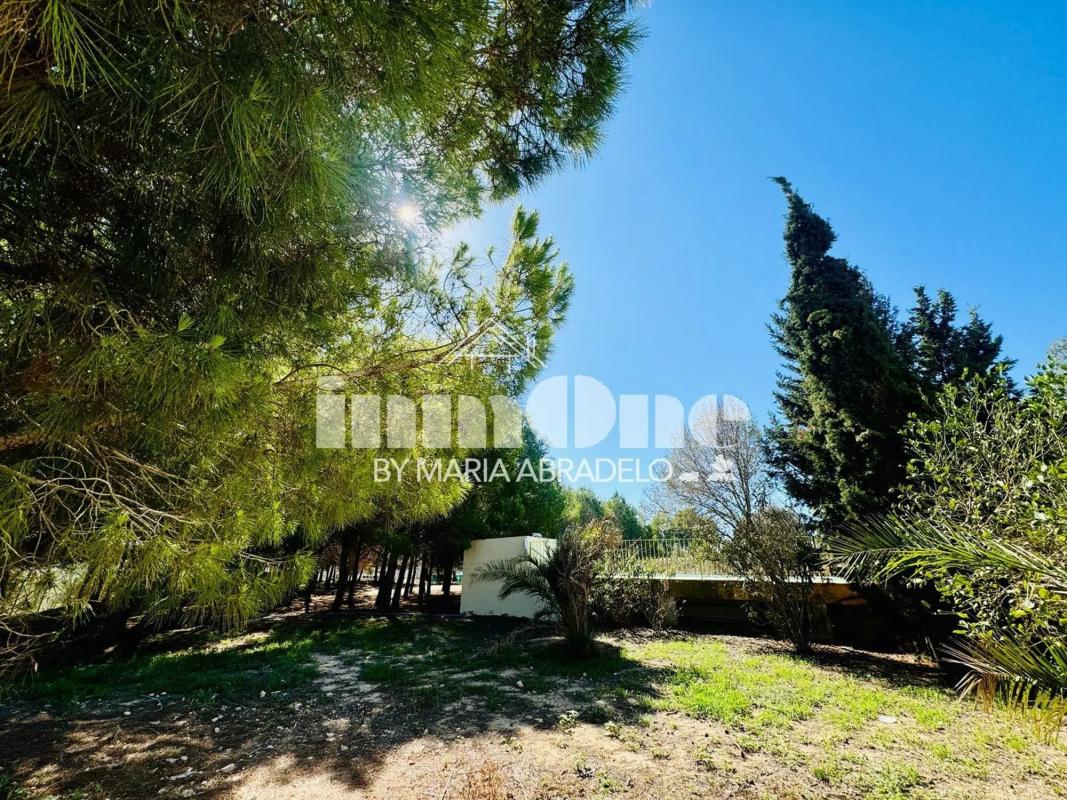 Продажа загородного участка в  Dolores , Долорес photo 5
