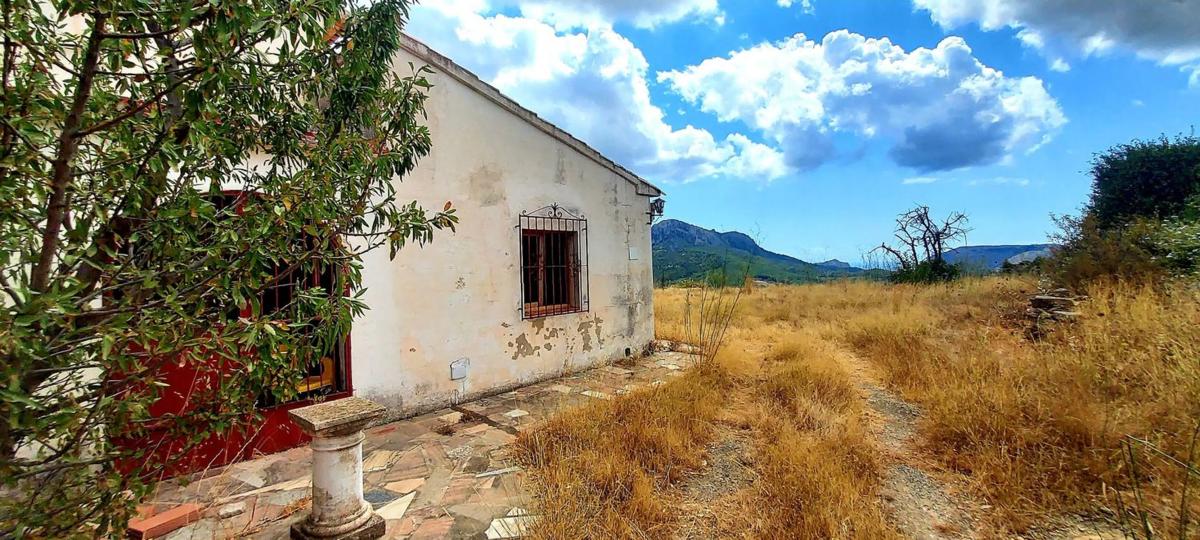 Propiedades en venta y alquiler en España photo 4
