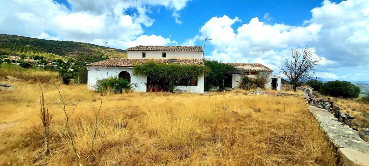 Propiedades en venta y alquiler en España photo 5