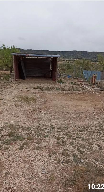 Land for sale in Villena, Alicante photo 4