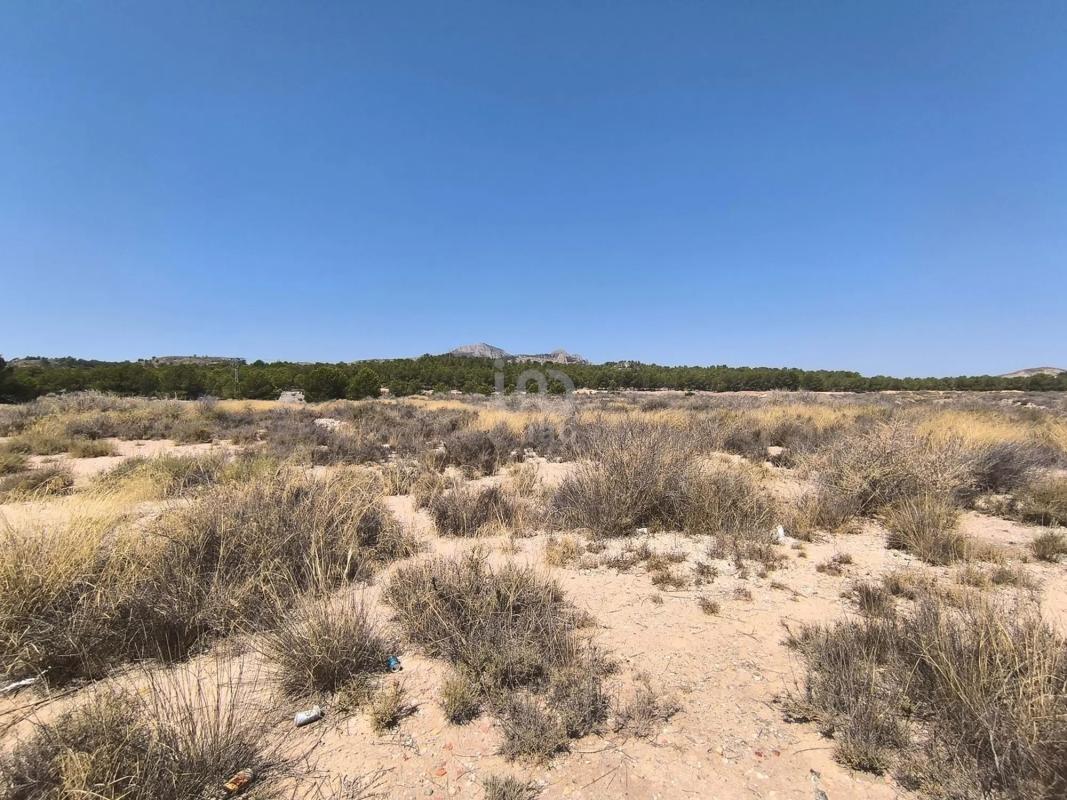 Land for sale in Sax, Alicante photo 4
