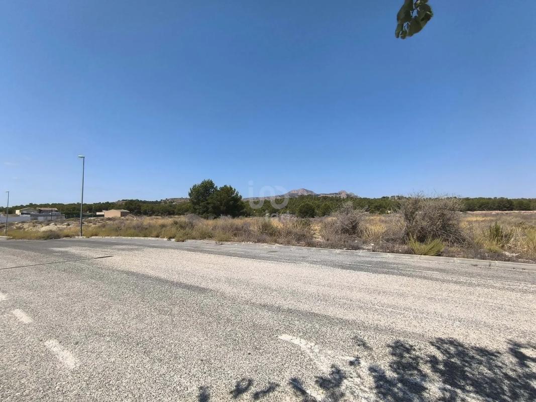 Land for sale in Sax, Alicante photo 5
