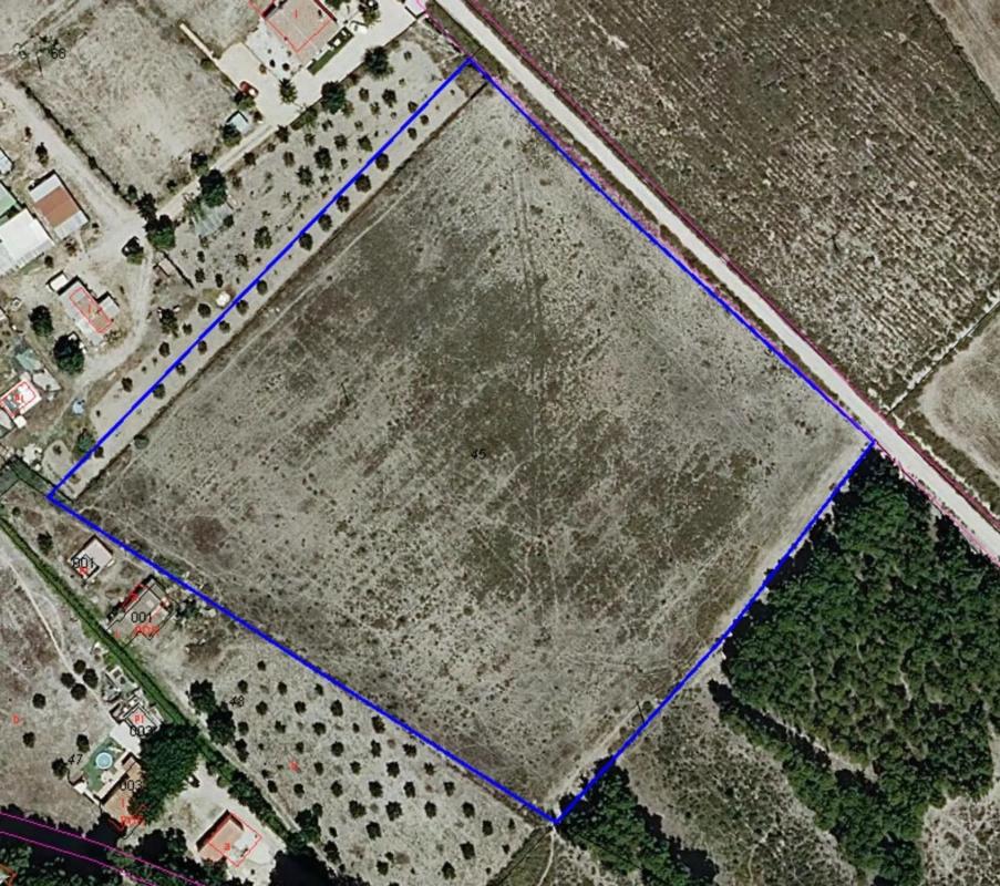 Land for sale in Sax, Alicante photo 3