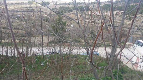 Terreno en calle Tejares, 6  a photo 3
