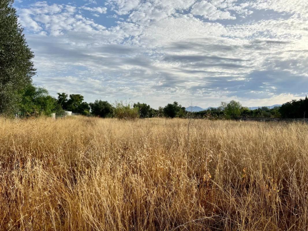 Terreno en venta en Villena, Alicante photo 4