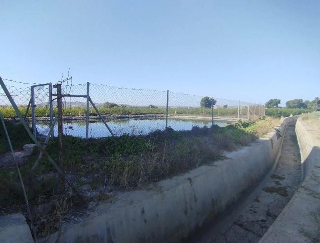 Terreno en venta en Almoradí, Alicante photo 1