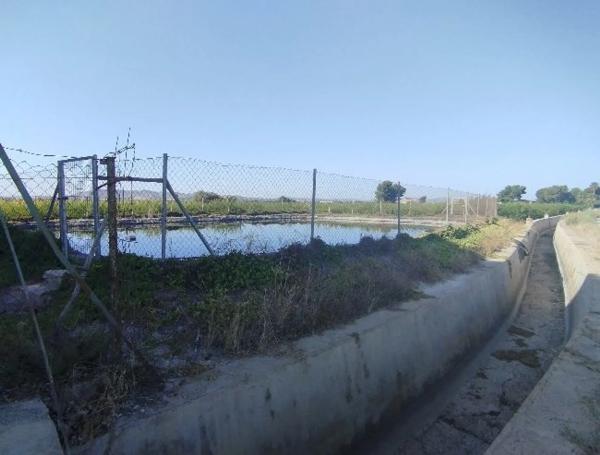 Terreno en Partida Fogaria photo 1