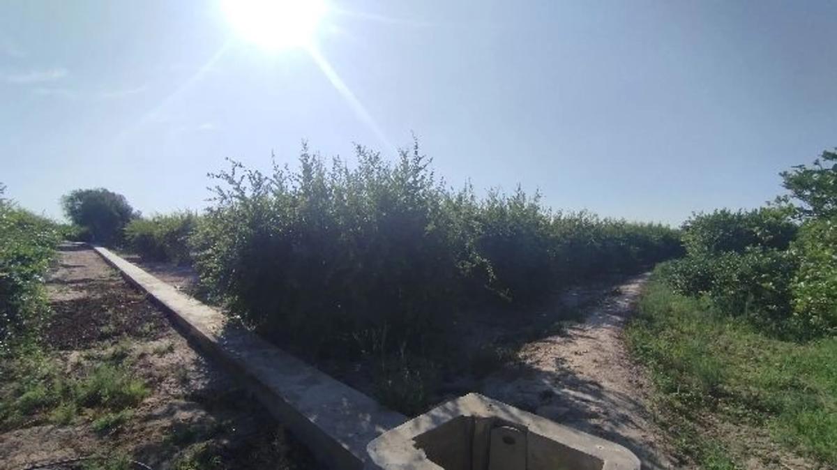 Terreno en venta en Almoradí, Alicante photo 2