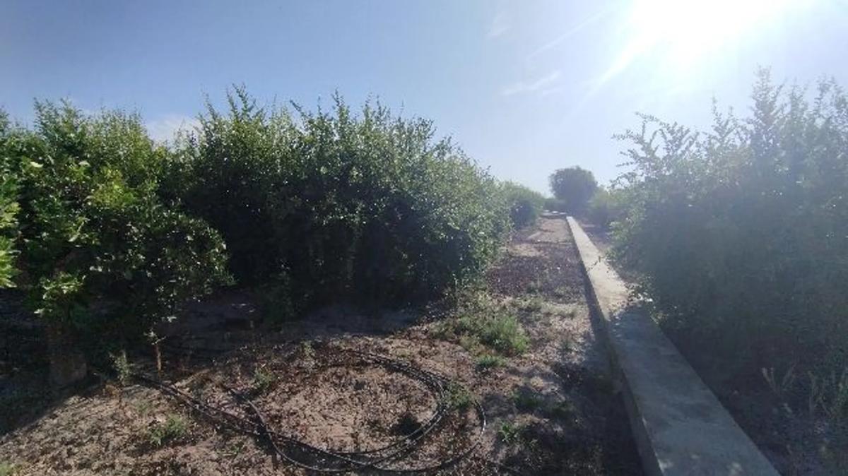 Terreno en venta en Almoradí, Alicante photo 5