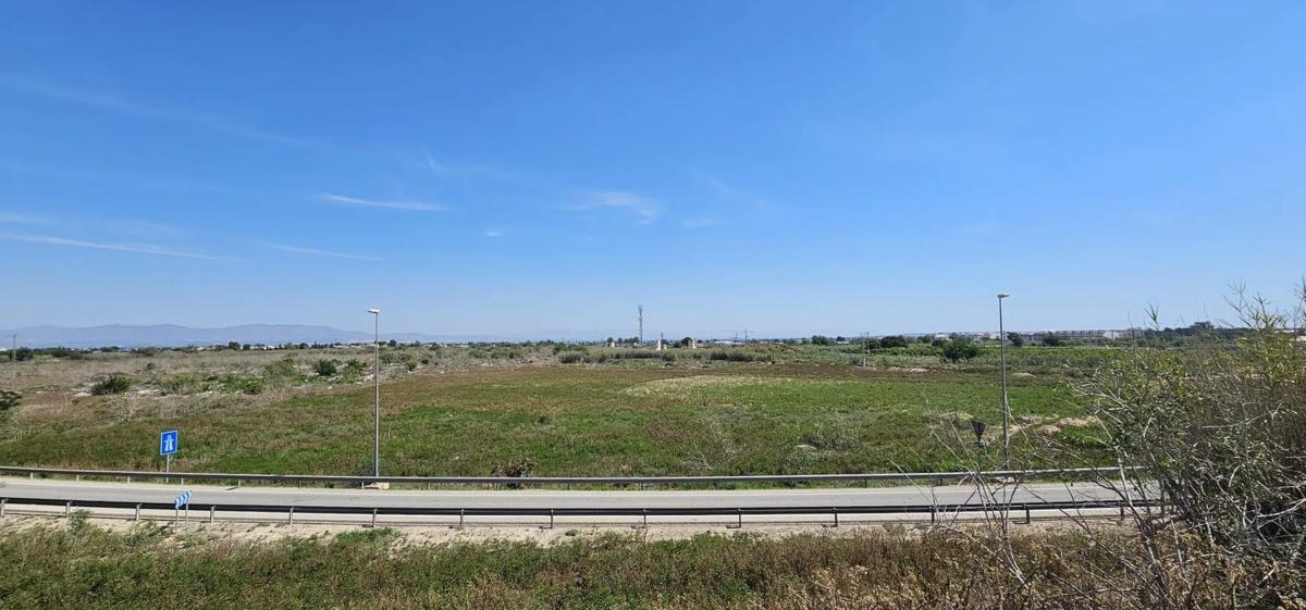 Terreno en venta en Almoradí, Alicante photo 5