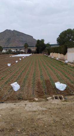 Terreno en camino la Serrana, 6 thumbnail 2