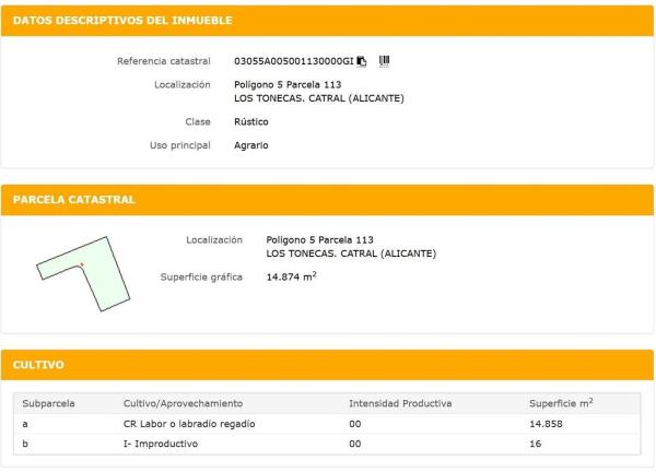 Terreno en Catral photo 3