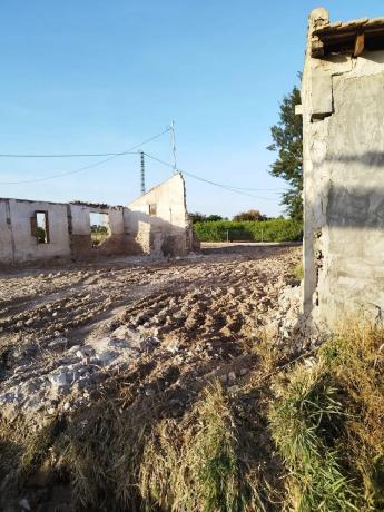 Terreno en Catral photo 1