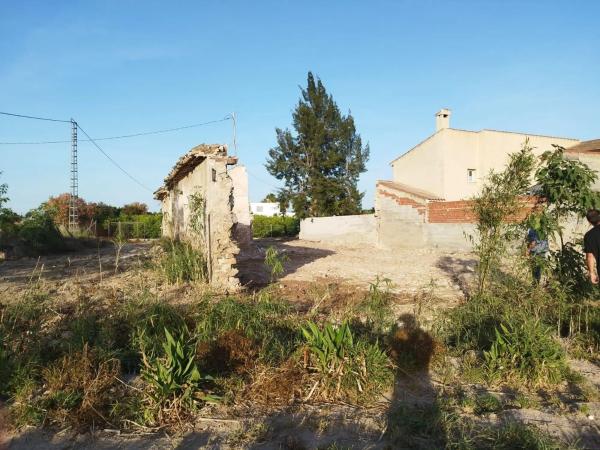 Terreno en Catral photo 3