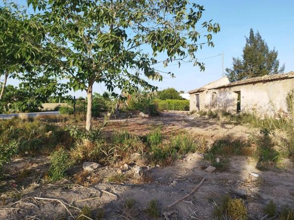 Terreno en Catral photo 4
