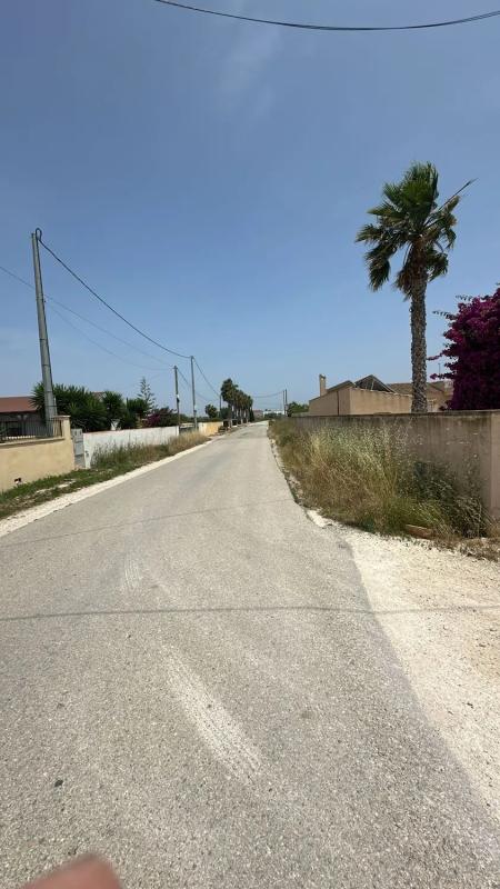 Land for sale in Catral, Alicante photo 3