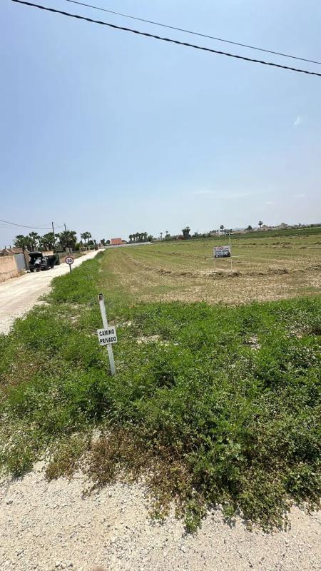 Land for sale in Catral, Alicante photo 4