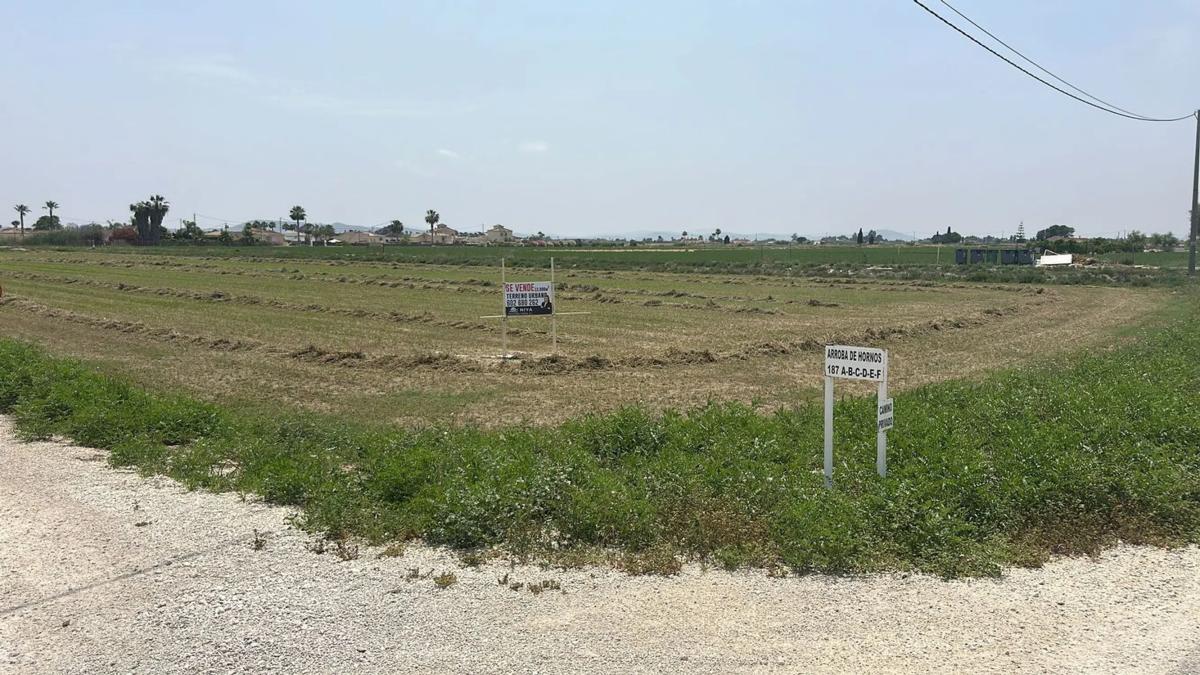 Land for sale in Catral, Alicante photo 5