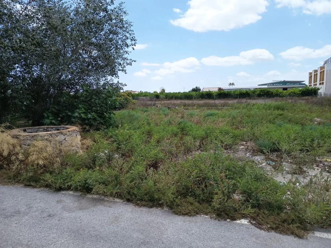 Terreno en venta en Daya Nueva, Alicante photo 2