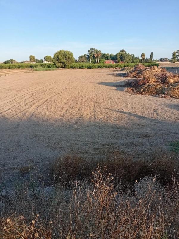 Land for sale in Dolores, Alicante photo 1