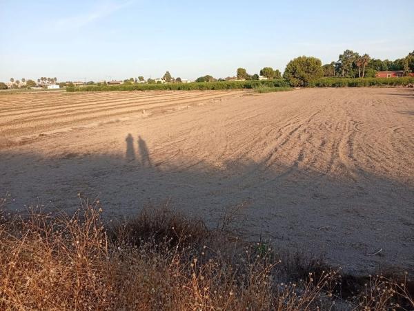 Terreno en camino Cebadas, 2 photo 4