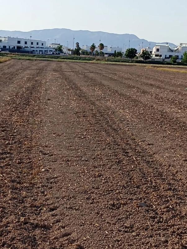 Działka na sprzedaż w Dolores, Alicante photo 1