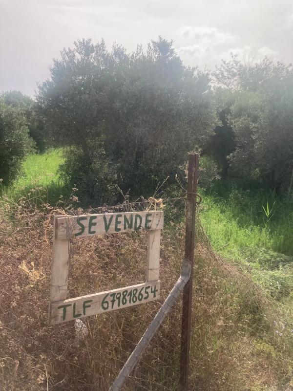 Terreno en venta en Dolores, Alicante photo 5