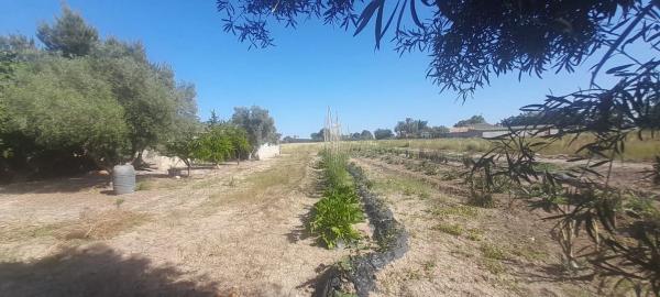 Terreno en huerta Dolores s/n photo 2