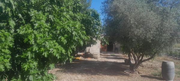 Terreno en huerta Dolores s/n photo 3