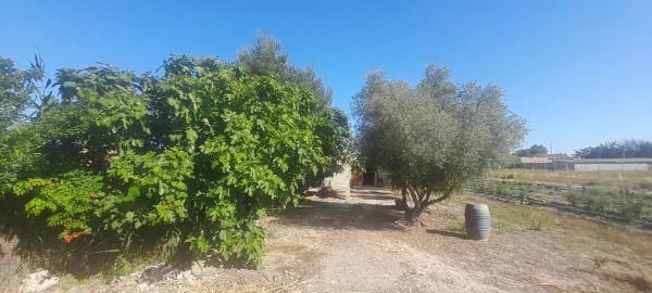 Terreno en huerta Dolores s/n photo 4