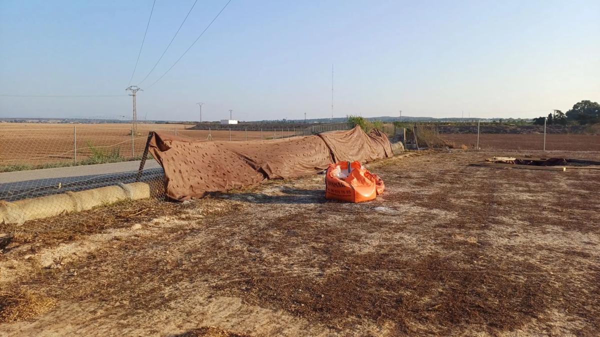 Terreno en venta en Guardamar del Segura, Alicante photo 1