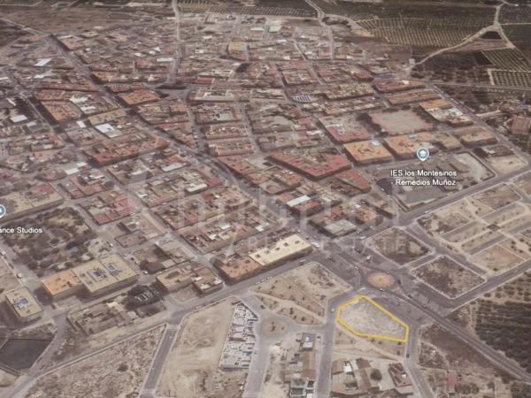 Terreno en Los Montesinos photo 4