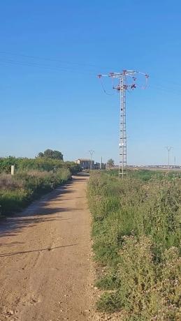 Terreno en calle lo Reche, 3 thumbnail 1