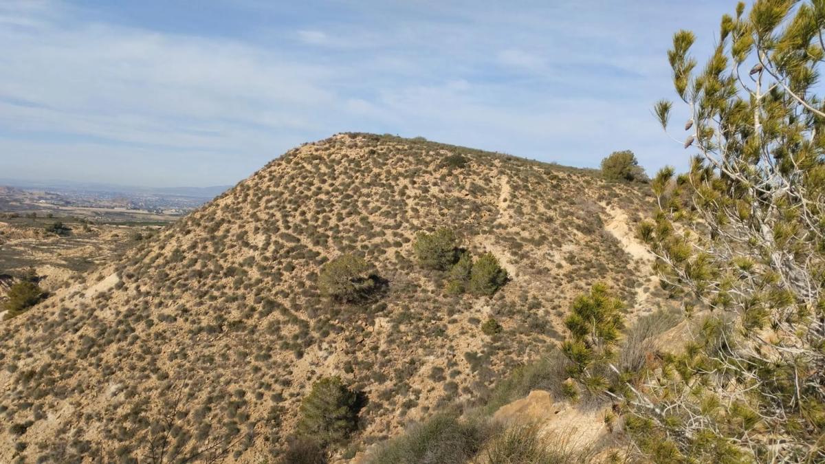 Terreno en venta en Orihuela, Alicante photo 4