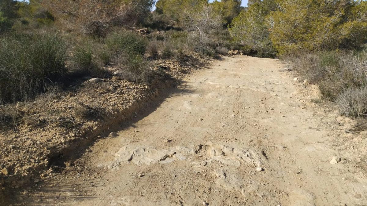Terreno en venta en Orihuela, Alicante photo 5
