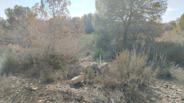 Terreno en Desamparados-Hurchillo-Torremendo photo 4