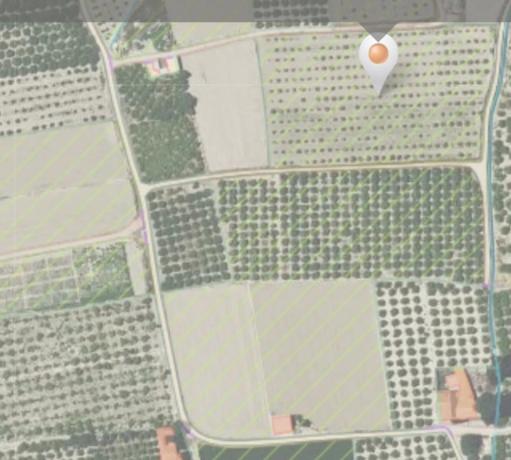 Terreno en vereda Guardalacapa s/n photo 3