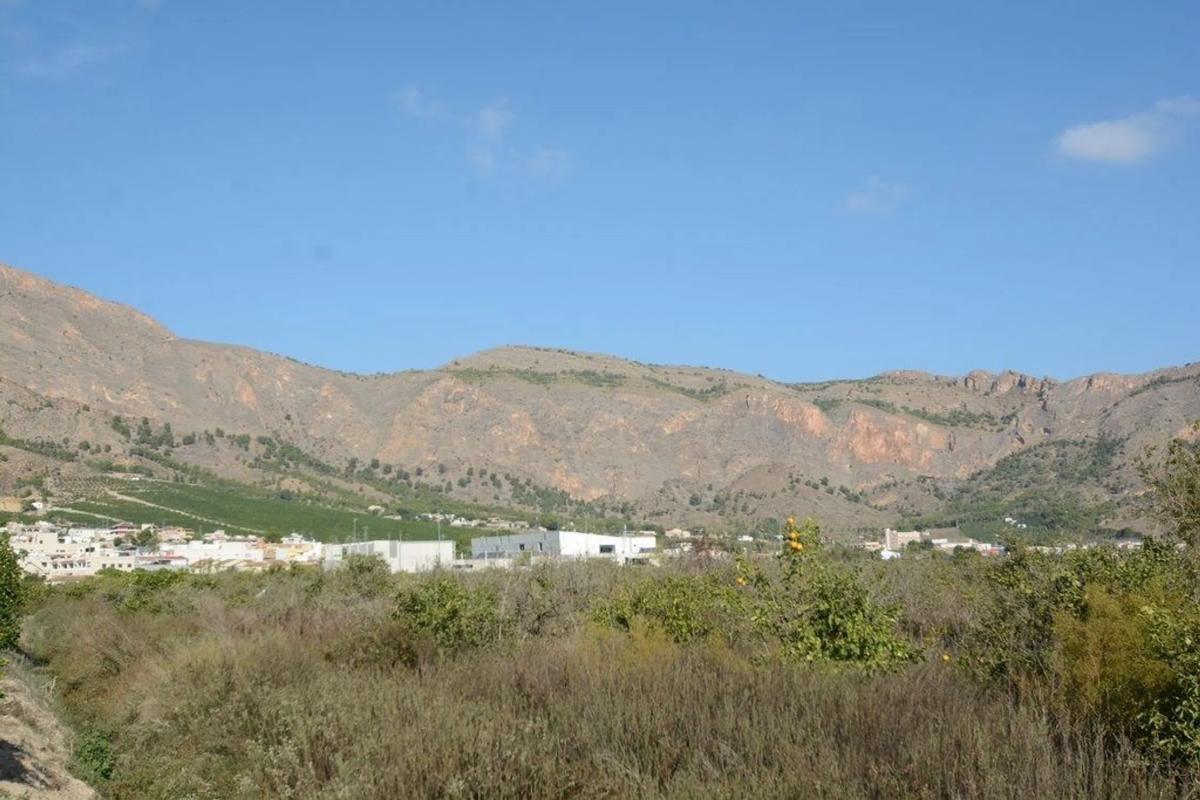Участок земли на продажу в Ориуэла, Аликанте photo 1